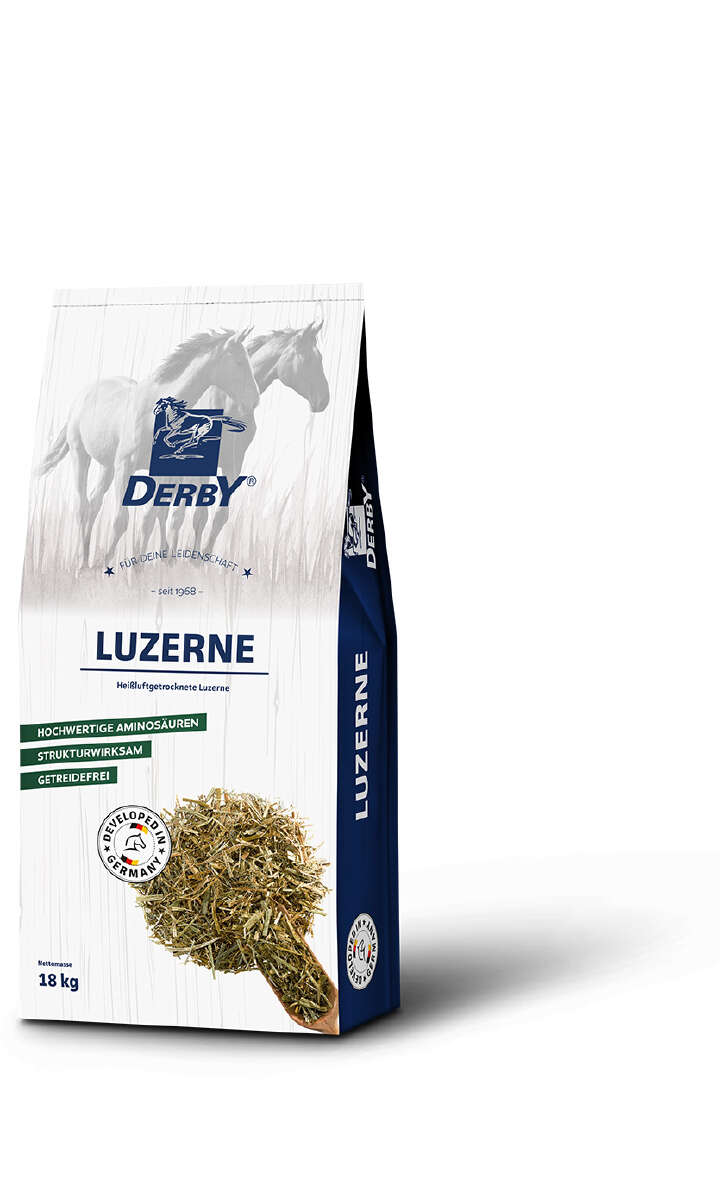 DERBY Luzerne